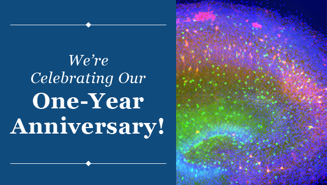 BrainFacts.org - One Year Anniversary