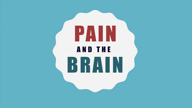Pain and the Brain