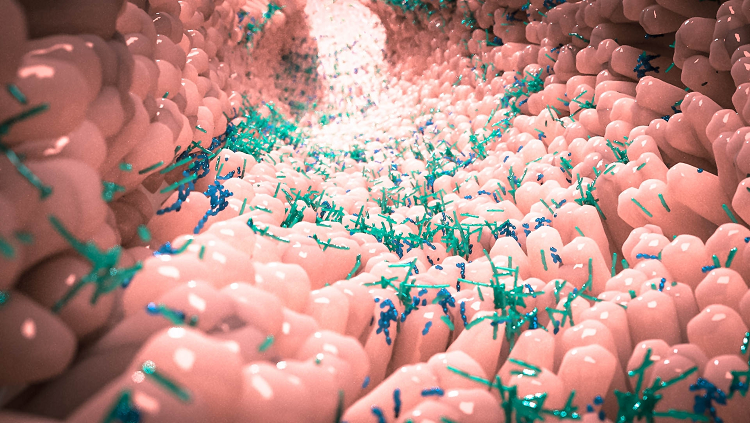 Image of a microbiome