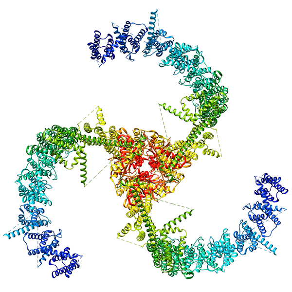 Protein channels