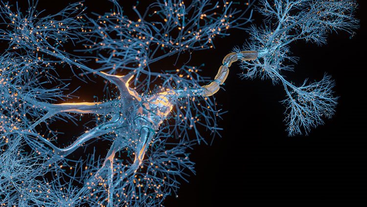 Image of molecular signaling