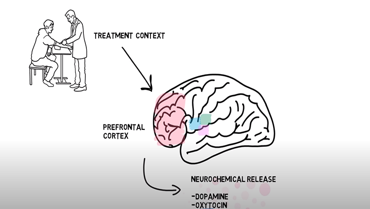 the placebo effect in an experimental study refers to the