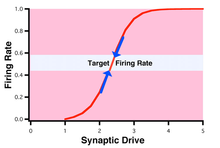 Synapses change graphic