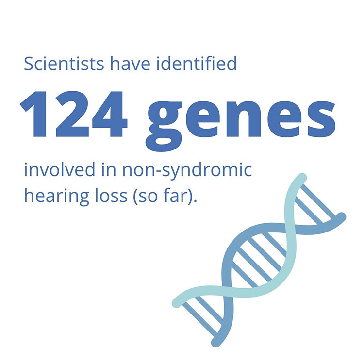 Infographic showing that scientists have identified 124 genes involved in non-syndromic hearing loss.