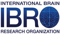 International Brain Research Organization logo