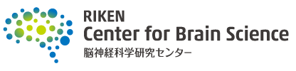 Image that reads Riken Center for Brain Science