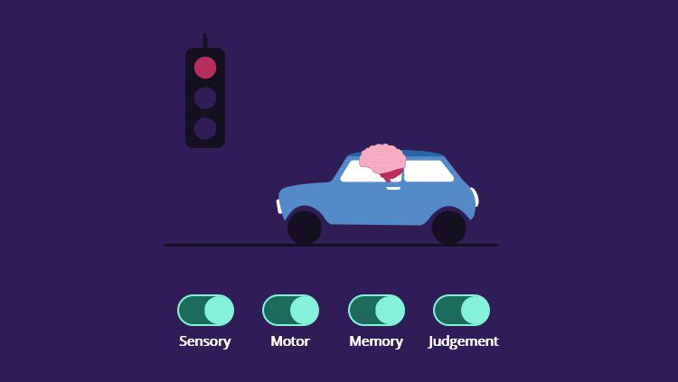 A cartoon brain riding in a car with toggles below