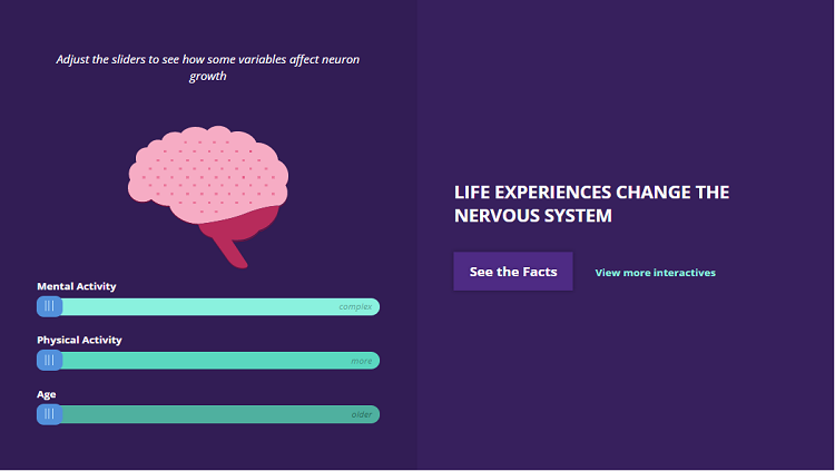 Life experiences change the nervous system