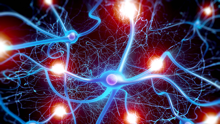 Illustration of neurons with electrical signals represented as flashes of light