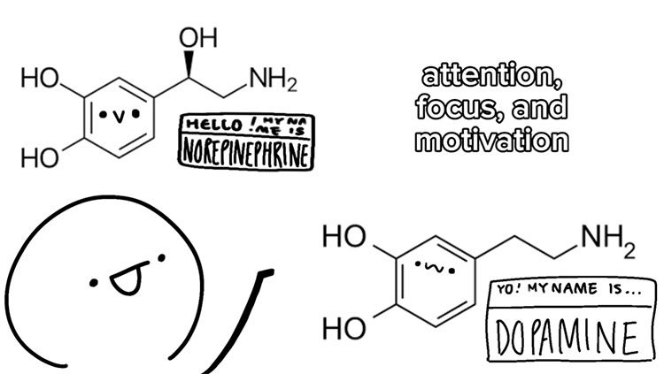 ADHD thumbnail