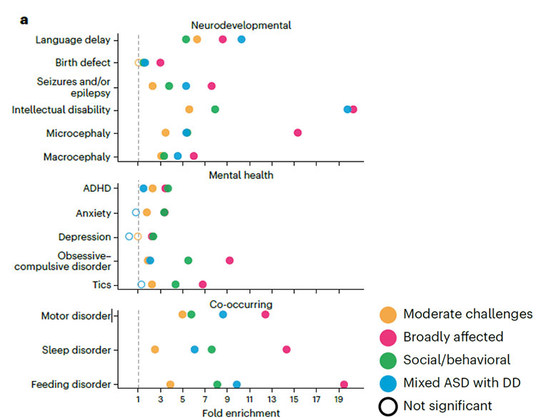 Autism subtypes