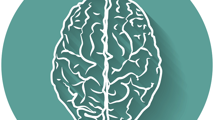 brain on green background