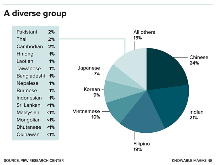 Diverse group pie chart