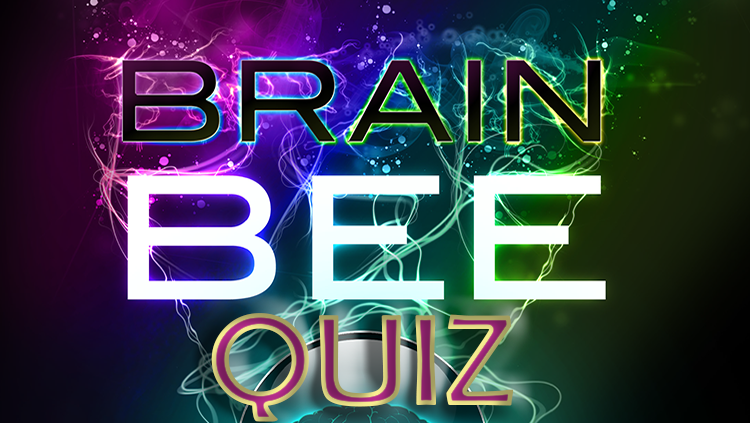 Brain Bee Quiz