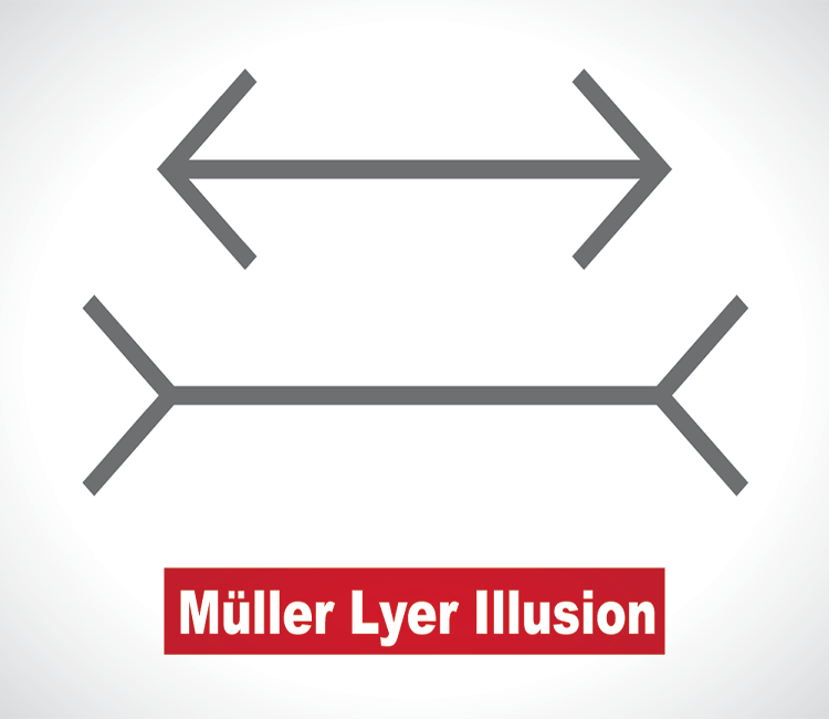 Muller Lyer Illusion