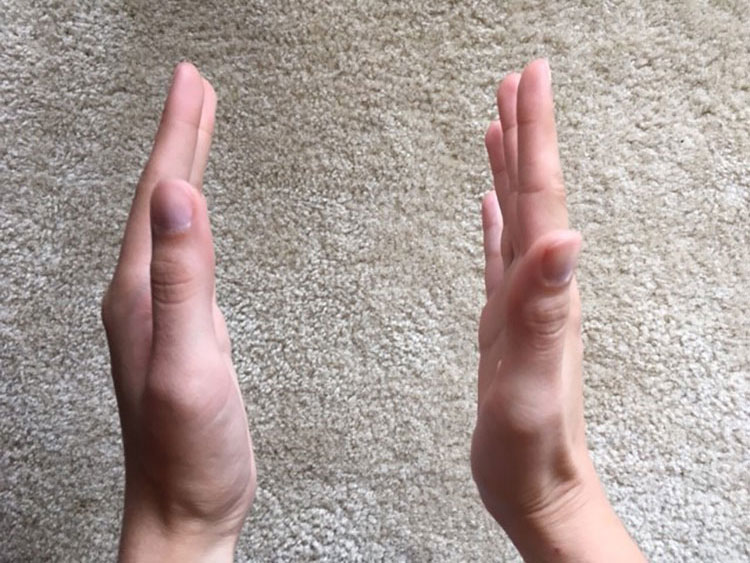 hands facing each other
