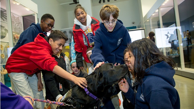 Students interact with a service dog at a Brain Awareness Week Event at the National Museum of Health and Medicine.