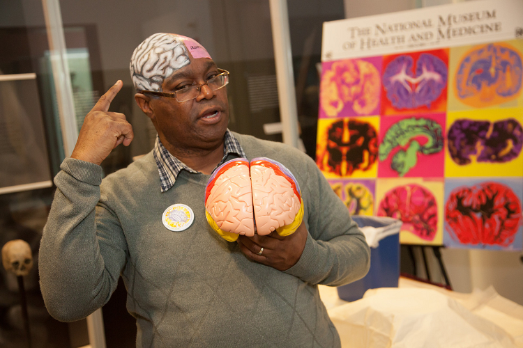A neuroscientist shares his love of the brain with students during Brain Awareness Week at the National Museum of Health and Medicine.