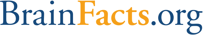 Brainfacts.org