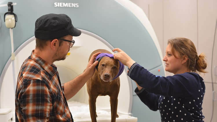 Photograph of two people helping and petting a dog thatis leaving or entering a brain imaging scanner