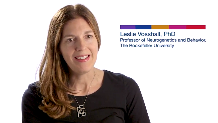Image of Leslie Vosshall