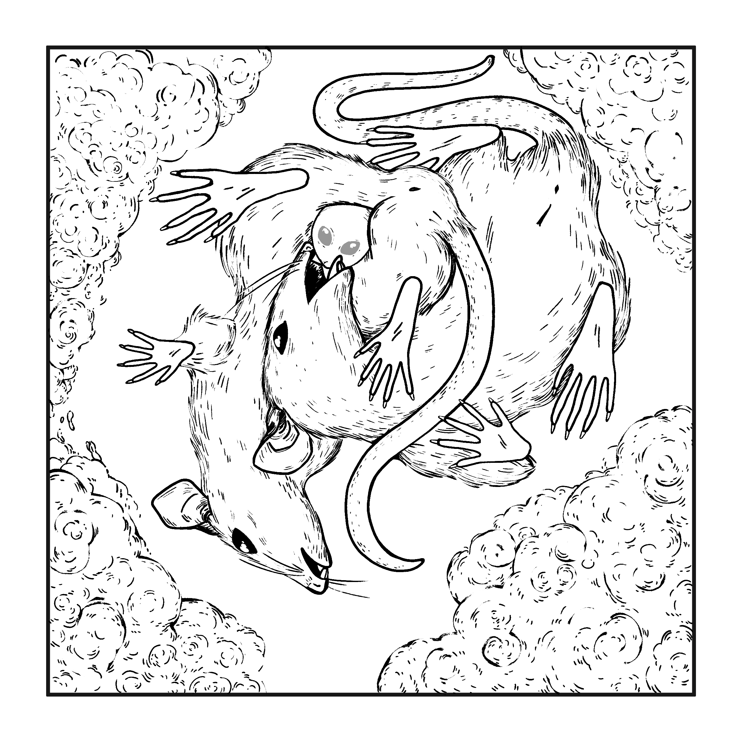 A female mouse