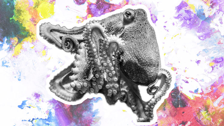 Octopus with tie dye background