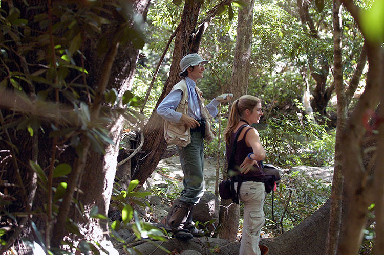Man and woman standing in the forest