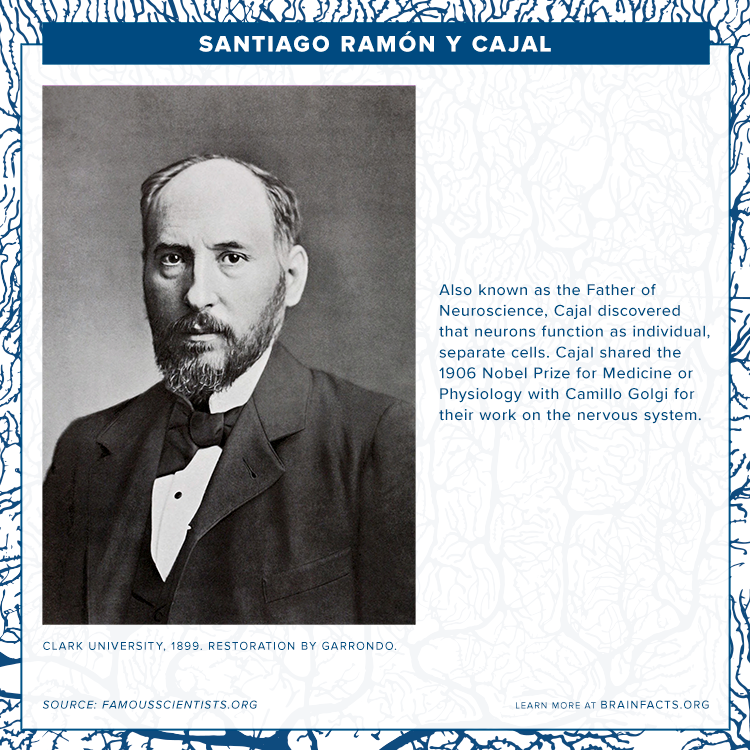 brain byte of santiago ramon y cajal