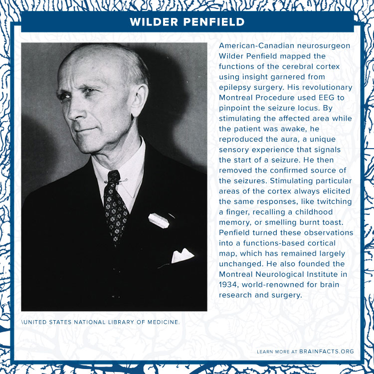 Wilder Penfield brain byte