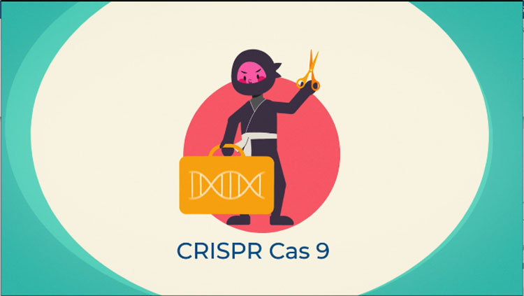 CRISPR Cas 9
