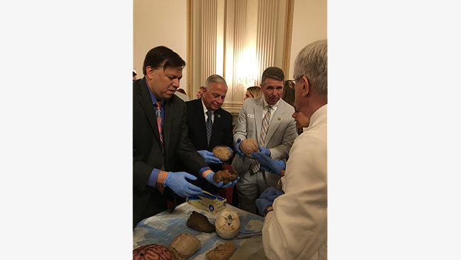Andrew D. Kessler, founder and principal of Slingshot Solutions LLC (left), with Reps. Gene Green (middle) and Rob Wittman (right) hold brain specimens and discuss the importance of NIH funding.