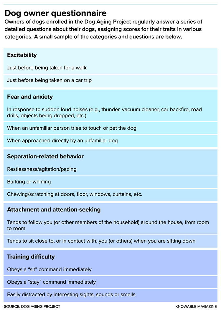 Survey results of dog owner