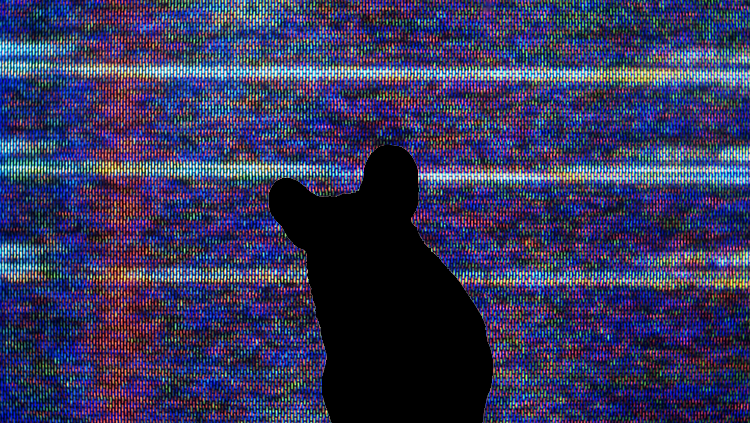 Image of a mouse in front of a television
