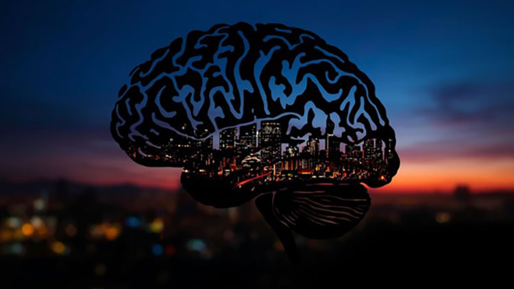 A city skyline seen within a brain