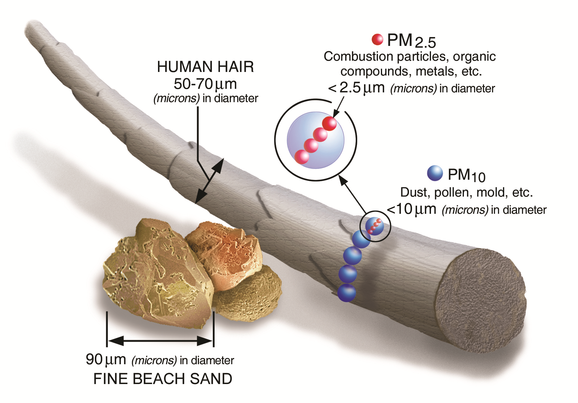 Illustration of PM25