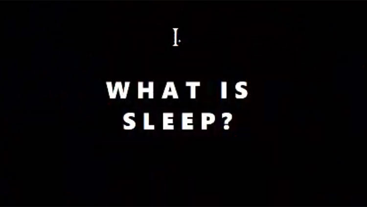What Is Sleep? image