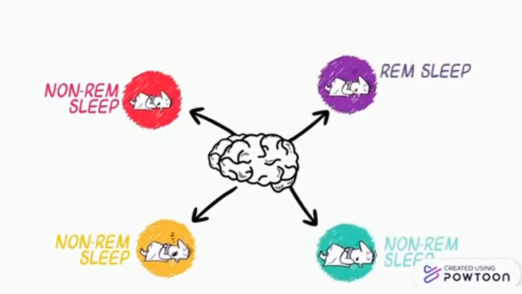 Chart of REM Sleep