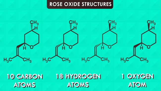 Oxide structures of a rose. 