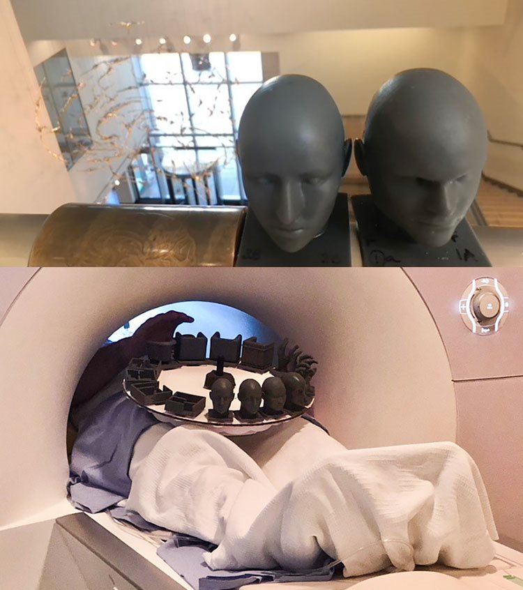 Two images of 3D printed heads in an MRI