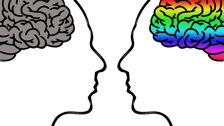 colorful brain